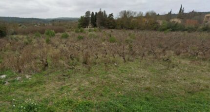 Argens-Minervois Terrain à bâtir - 1989949-692annonce120241030RrNuC.jpeg Maisons Open