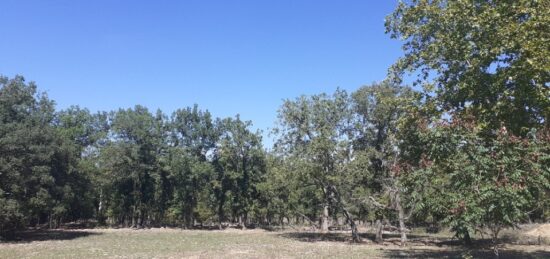 Terrain à bâtir à , Var