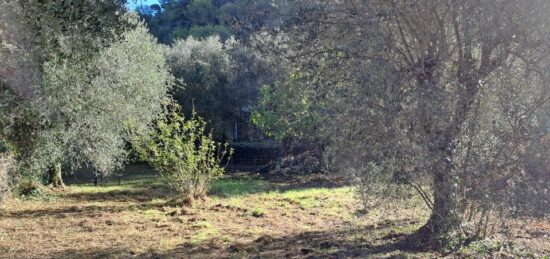 Terrain à bâtir à La Trinité, Provence-Alpes-Côte d'Azur