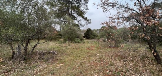 Terrain à bâtir à Lorgues, Provence-Alpes-Côte d'Azur