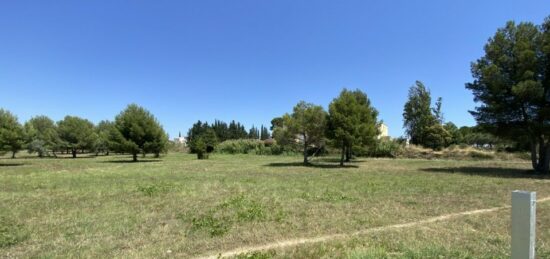 Terrain à bâtir à Saint-Pargoire, Occitanie