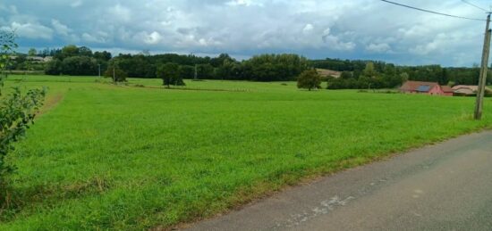 Terrain à bâtir à Saint-Amour, Bourgogne-Franche-Comté