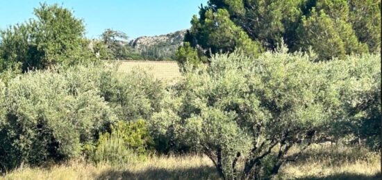 Terrain à bâtir à Roquemaure, Occitanie