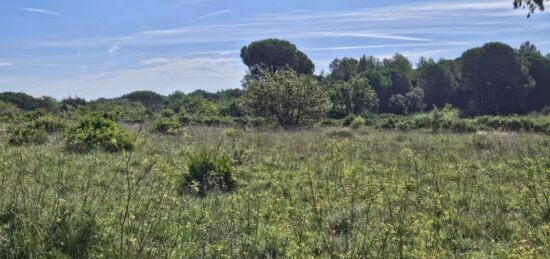 Terrain à bâtir à Puget-sur-Argens, Provence-Alpes-Côte d'Azur