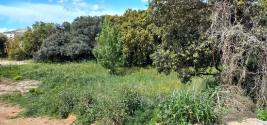 Terrain à bâtir à Canet, Occitanie