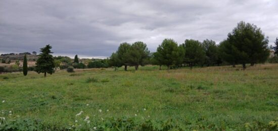 Terrain à bâtir à Saint-Pargoire, Occitanie