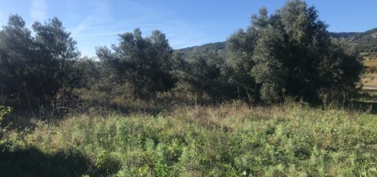 Terrain à bâtir à Gignac, Occitanie