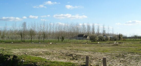 Terrain à bâtir à Lézigné, Pays de la Loire