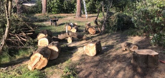 Terrain à bâtir à Combaillaux, Occitanie