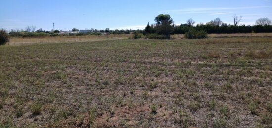 Terrain à bâtir à Marseillan, Occitanie