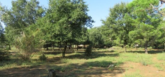 Terrain à bâtir à Montignargues, Occitanie