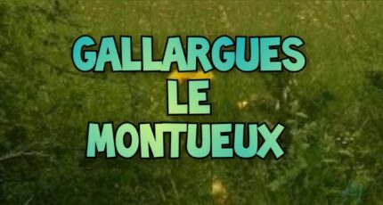 Gallargues-le-Montueux Terrain à bâtir - 1975476-3243annonce320241013McICE.jpeg Maisons Open