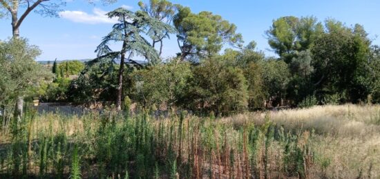 Terrain à bâtir à Cournonsec, Occitanie