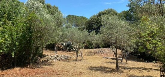 Terrain à bâtir à Camps-la-Source, Provence-Alpes-Côte d'Azur