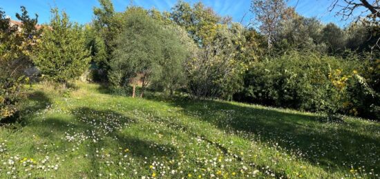 Terrain à bâtir à Solliès-Pont, Provence-Alpes-Côte d'Azur