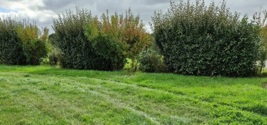 Terrain à bâtir à Tiercé, Pays de la Loire