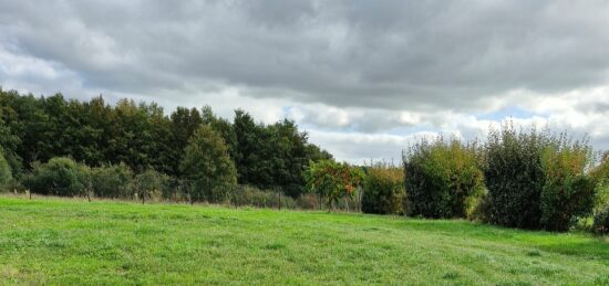 Terrain à bâtir à Saint-Léger-des-Bois, Pays de la Loire