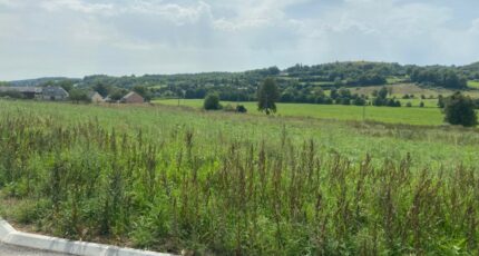 Le Mesnil-Guillaume Terrain à bâtir - 1929204-9394annonce220240822fKZdN.jpeg Maisons Open