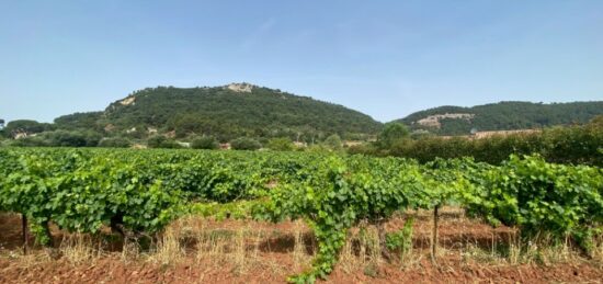 Terrain à bâtir à Gonfaron, Provence-Alpes-Côte d'Azur