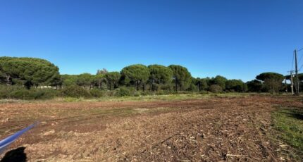 Puget-sur-Argens Terrain à bâtir - 2015762-3701annonce220241130baDMw.jpeg Maisons Open