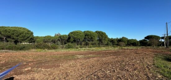 Terrain à bâtir à , Var