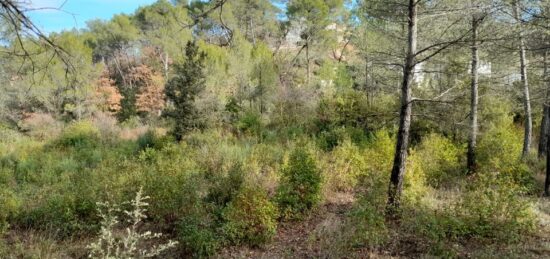 Terrain à bâtir à Brignoles, Provence-Alpes-Côte d'Azur