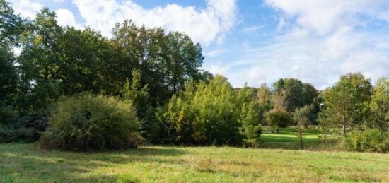 Terrain à bâtir à Saint-Antoine-du-Rocher, Centre-Val de Loire