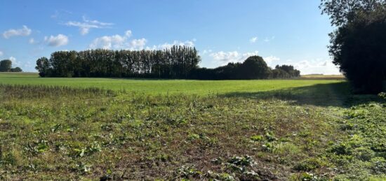 Terrain à bâtir à Bosc-le-Hard, Normandie