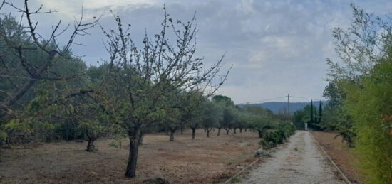 Terrain à bâtir à Brignoles, Provence-Alpes-Côte d'Azur