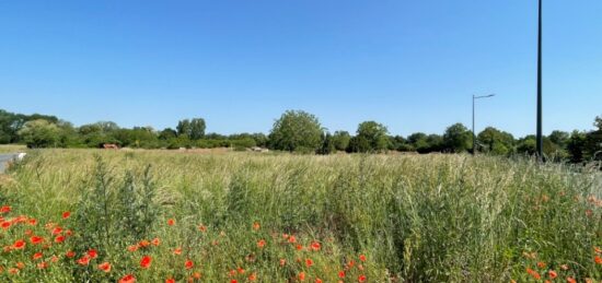 Terrain à bâtir à Le Blanc, Centre-Val de Loire