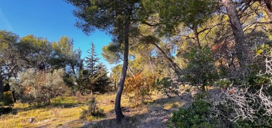 Terrain à bâtir à Ceyreste, Provence-Alpes-Côte d'Azur