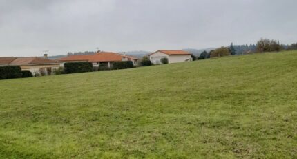 Gaillac-Toulza Terrain à bâtir - 2033774-9555annonce220241223fXxwR.jpeg Maisons Open