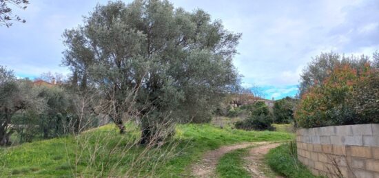 Terrain à bâtir à Murles, Occitanie