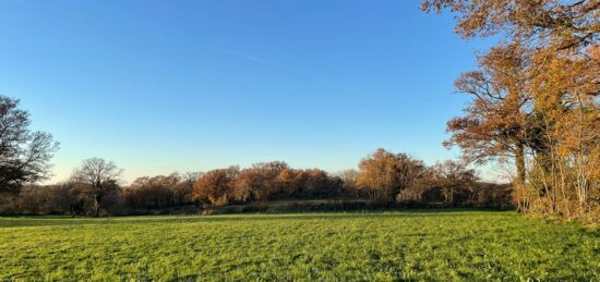 Terrain à bâtir à Saint-Marcel, Centre-Val de Loire