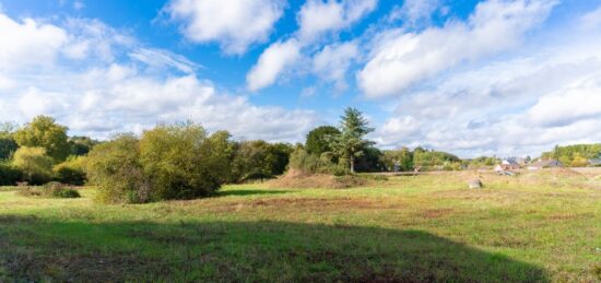 Terrain à bâtir à Neuvy-le-Roi, Centre-Val de Loire