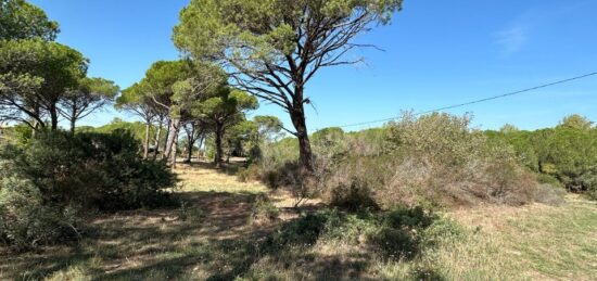 Terrain à bâtir à Puget-sur-Argens, Provence-Alpes-Côte d'Azur