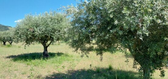 Terrain à bâtir à , Var