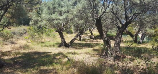 Terrain à bâtir à La Seyne-sur-Mer, Provence-Alpes-Côte d'Azur