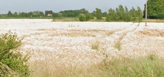 Terrain à bâtir à , Pas-de-Calais