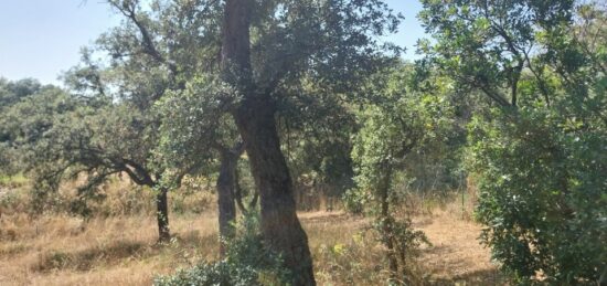 Terrain à bâtir à , Var