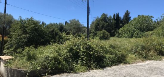 Terrain à bâtir à , Alpes-Maritimes