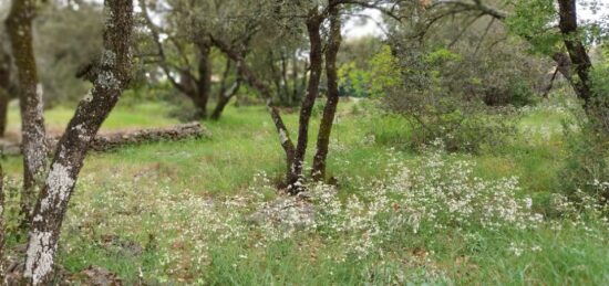 Terrain à bâtir à Lorgues, Provence-Alpes-Côte d'Azur